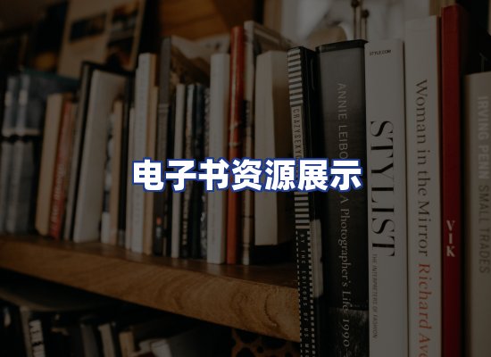 电子书资源展示